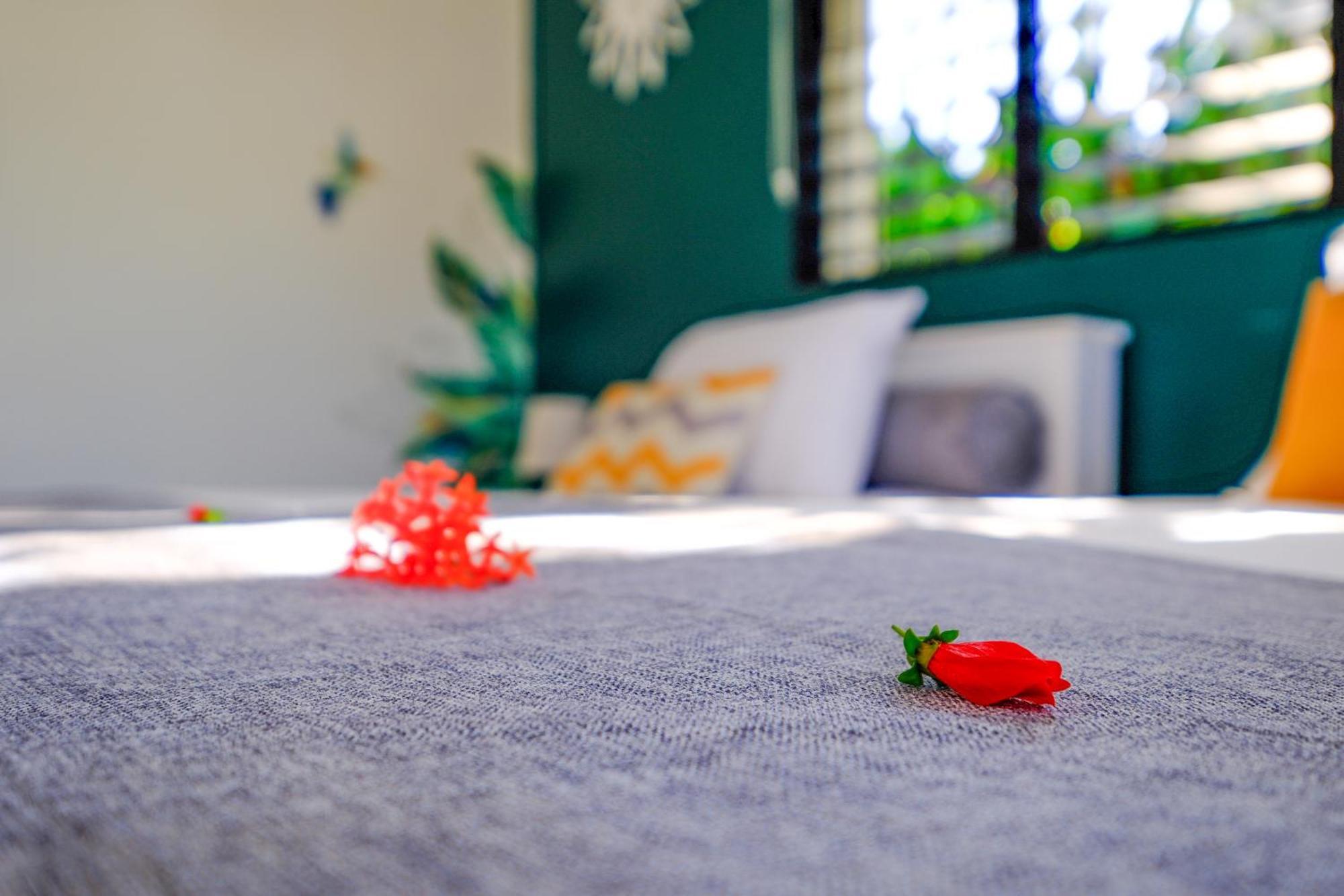Hotel Enjoy Las Terrenas Zewnętrze zdjęcie