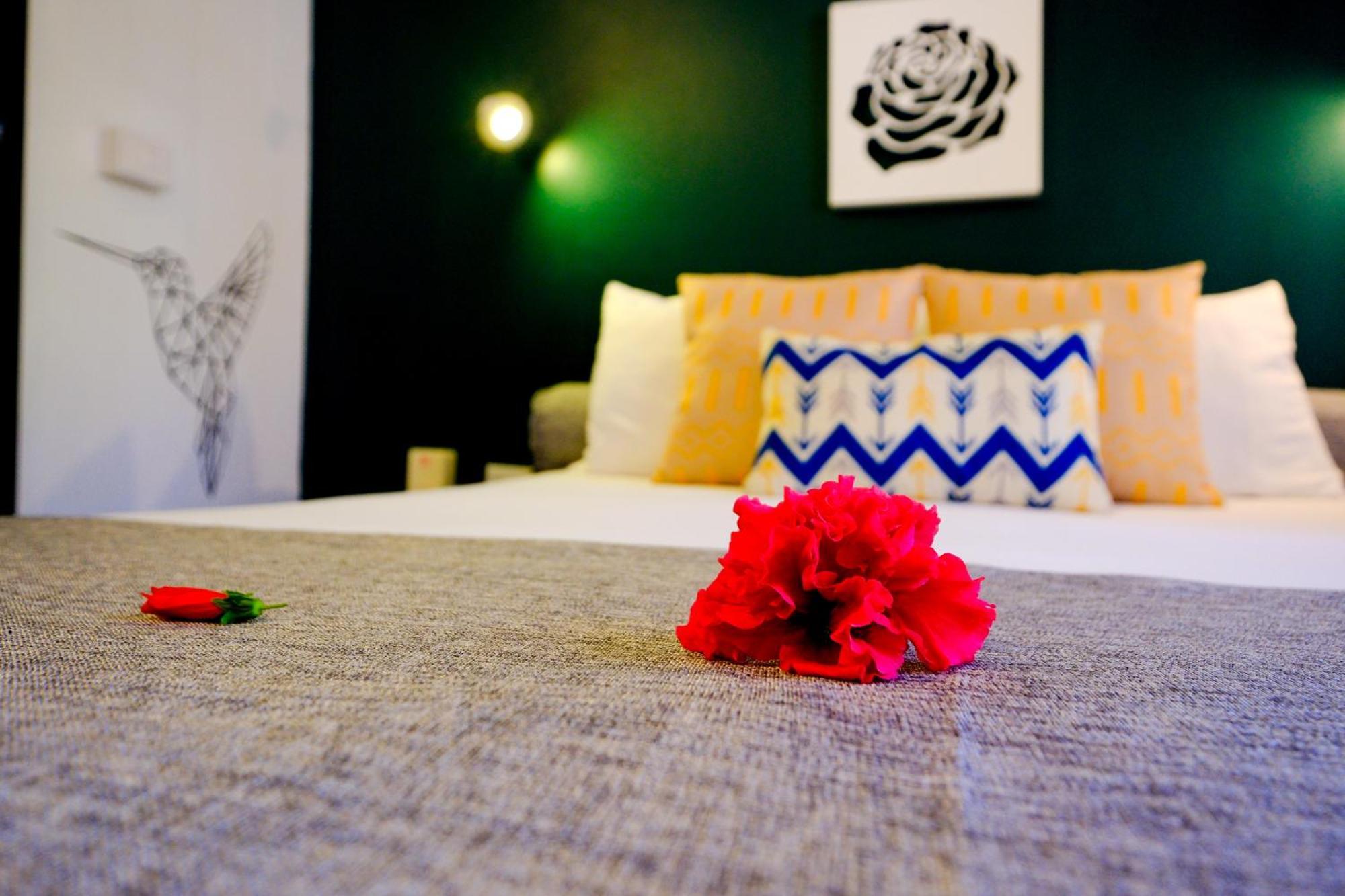 Hotel Enjoy Las Terrenas Zewnętrze zdjęcie