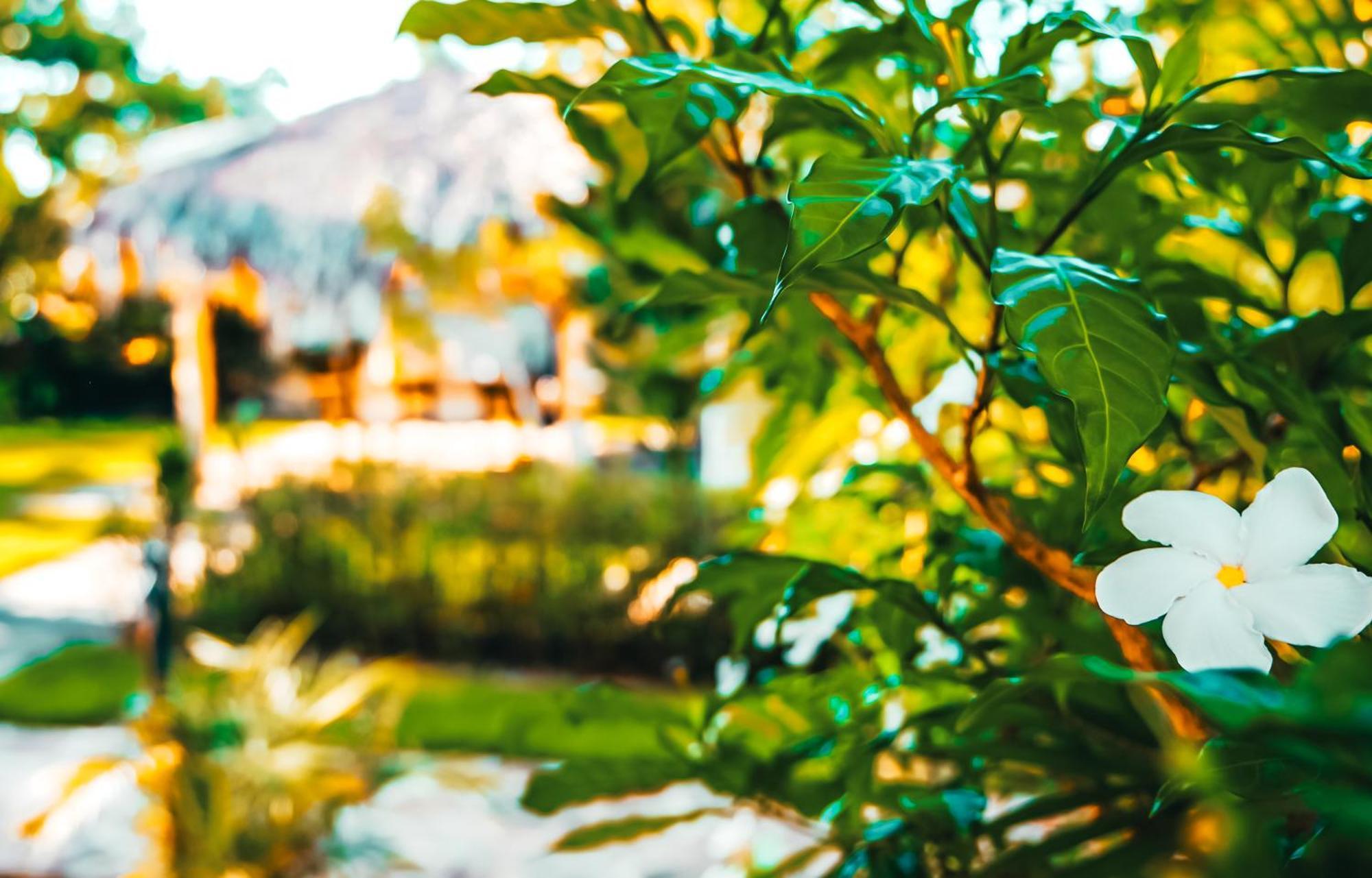 Hotel Enjoy Las Terrenas Zewnętrze zdjęcie