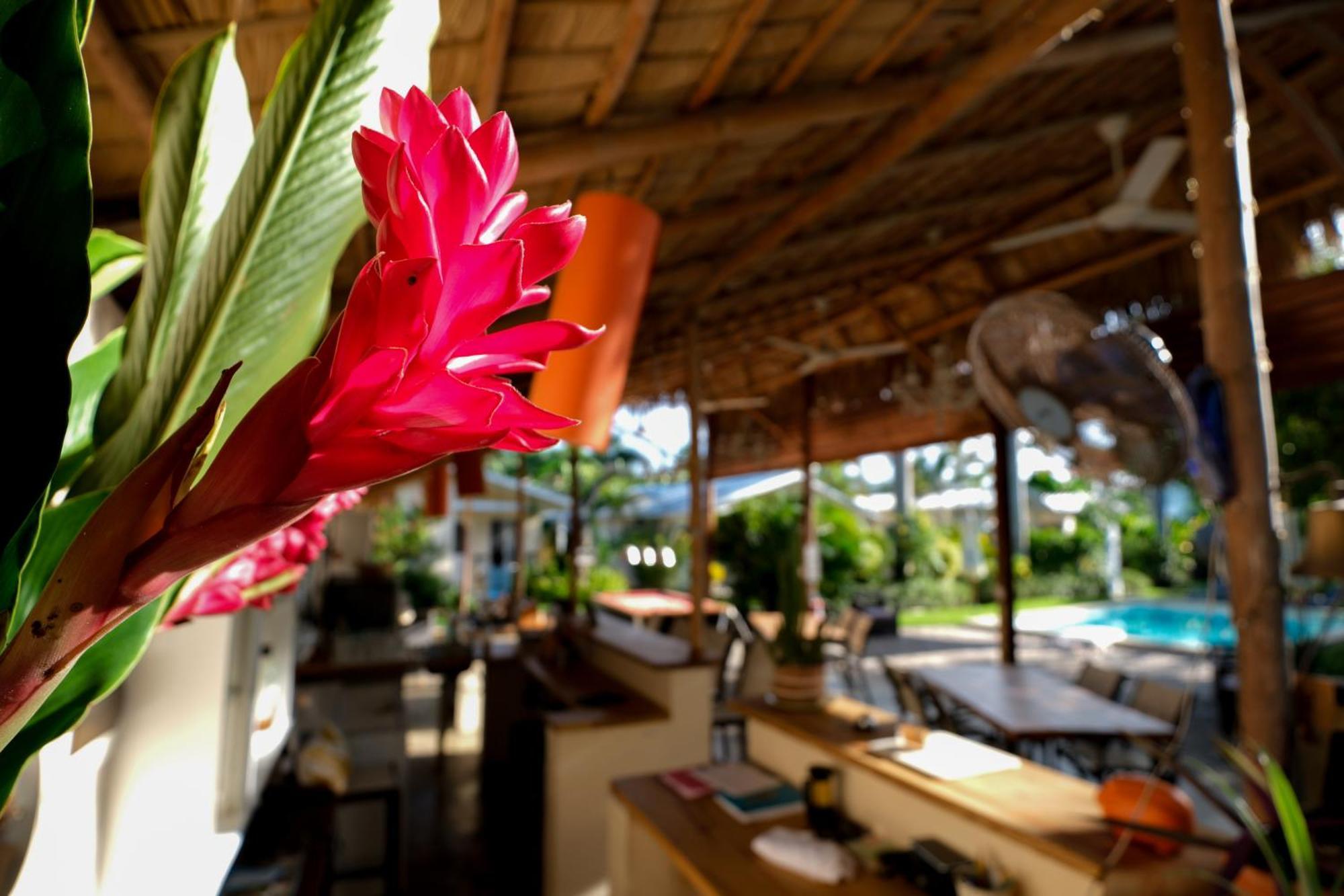 Hotel Enjoy Las Terrenas Zewnętrze zdjęcie