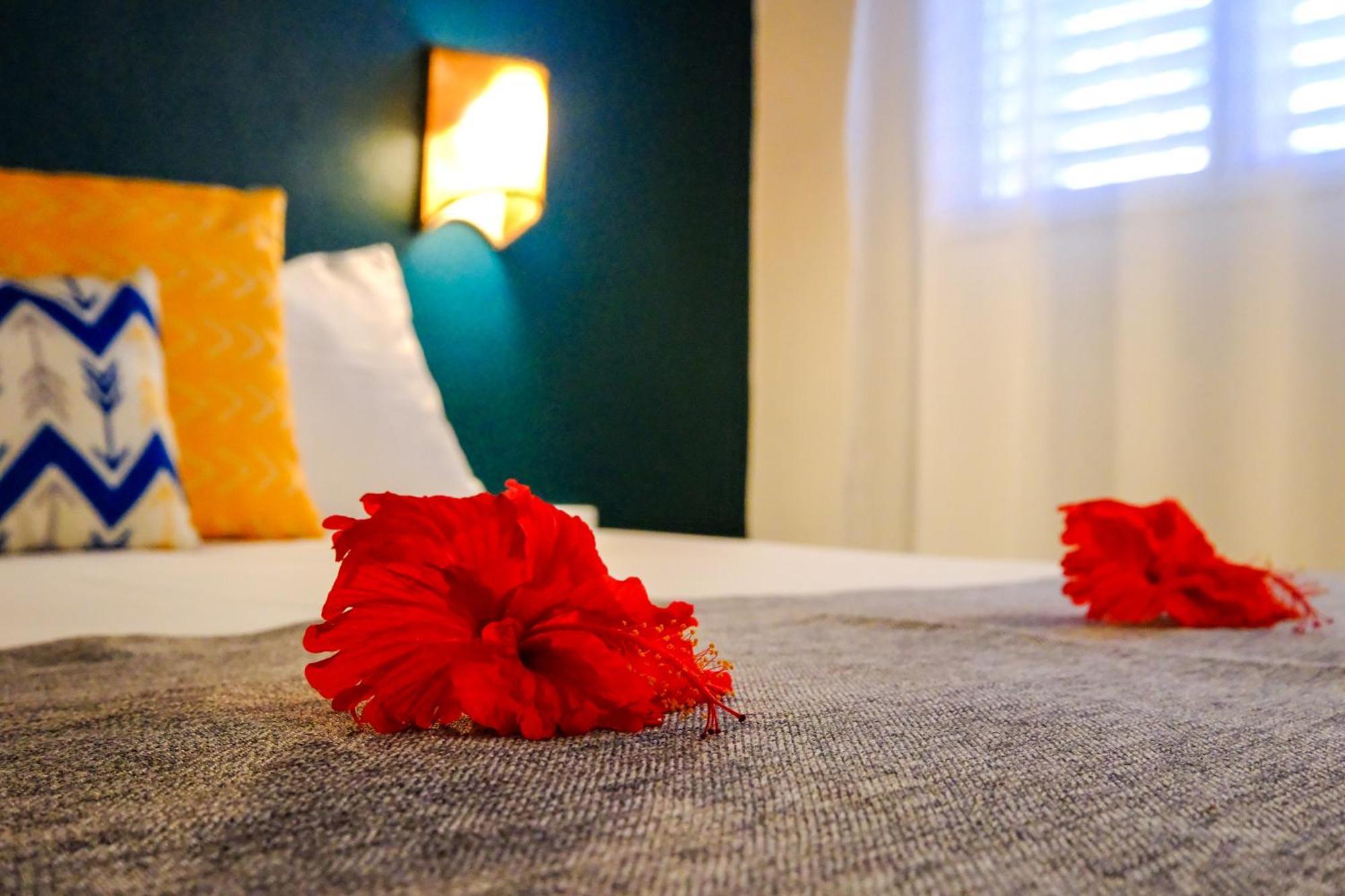 Hotel Enjoy Las Terrenas Pokój zdjęcie